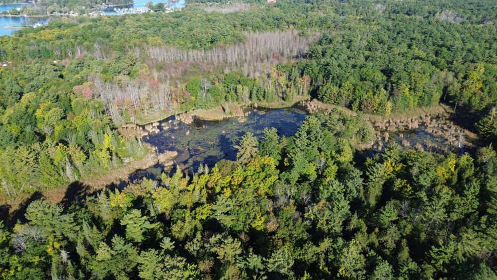 Ducks Unlimited Canada Conserves Essential Wetland Within Ontario’s Georgian Bay UNESCO Biosphere Reserve