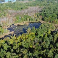Ducks Unlimited Canada Conserves Essential Wetland Within Ontario’s Georgian Bay UNESCO Biosphere Reserve