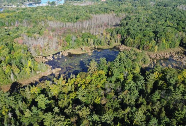 Ducks Unlimited Canada Conserves Essential Wetland Within Ontario’s Georgian Bay UNESCO Biosphere Reserve