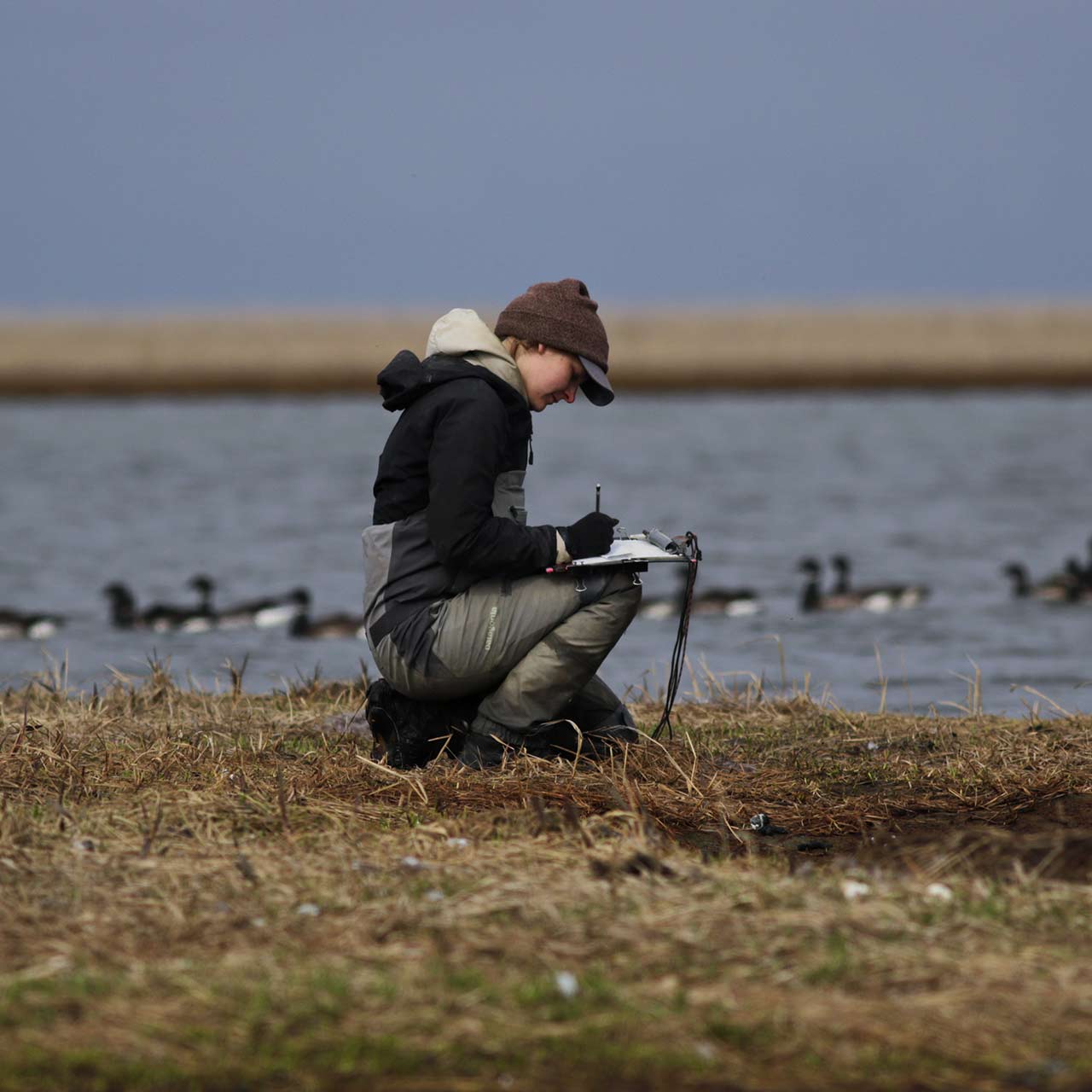 Lindsay Carlson recording data