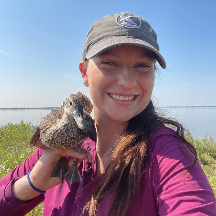 Mallards are a major focus of research undertaken by Ducks Unlimited scientists, including graduate students Cassidy Waldrep and Kelsie Huss (above).