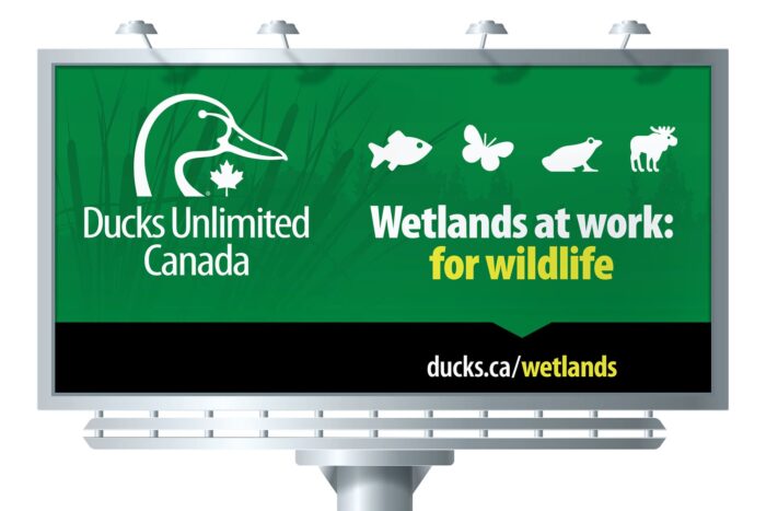 One of the many billboards popping up around the country.