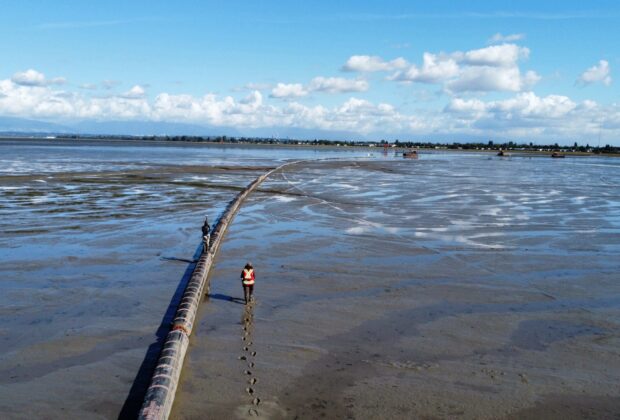 Gaining ground: An update after three years of sediment restoration at Sturgeon Bank