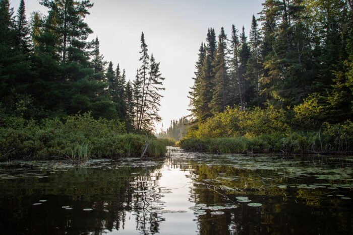 Boreal wetland