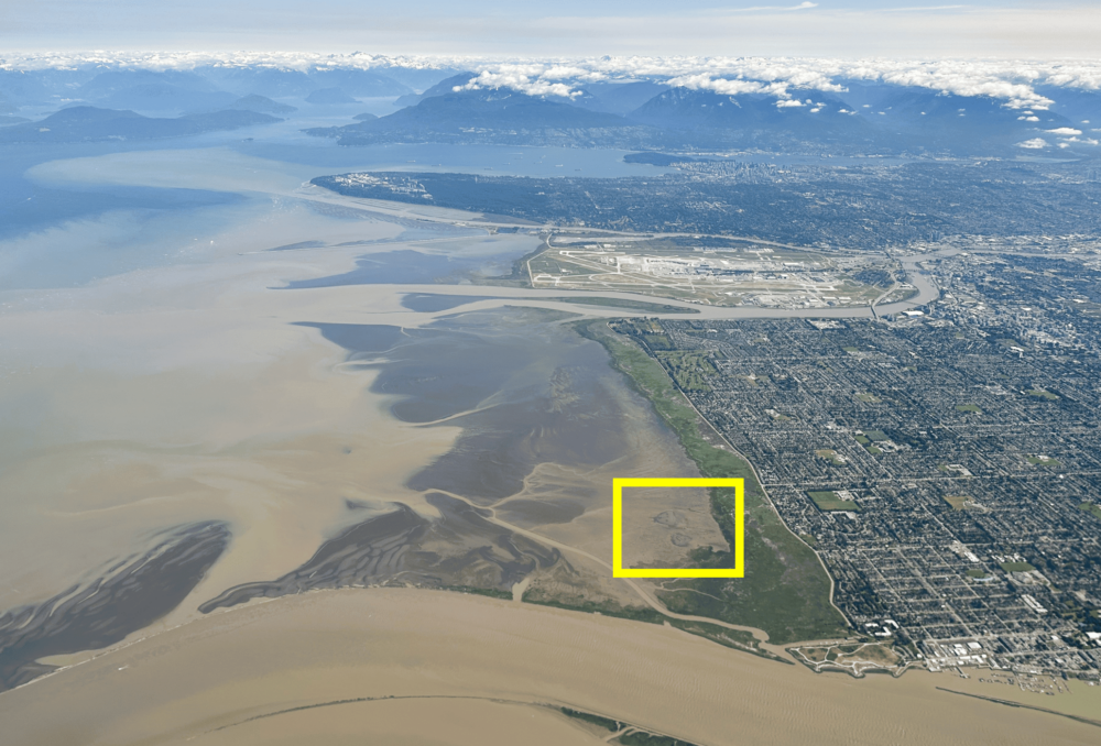 Within the inset yellow box, two mounds are visible, with the Fraser River flowing into the Strait of Georgia just below. These are the two new sediment additions resulting from this pilot project. Every airplane that touches down at Vancouver International Airport has a chance to see this restoration project in action. Photo taken June 6, 2025. 