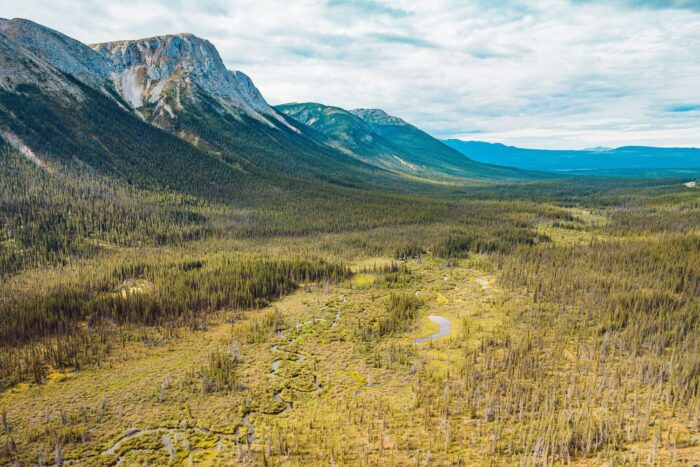 Yukon boreal wetland