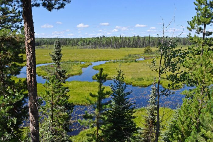 The wetland on Bernie Wendler’s land is large, with shallow open water and multiple marshes intermingling with mixed-wood forests, pastureland and shrubs.
