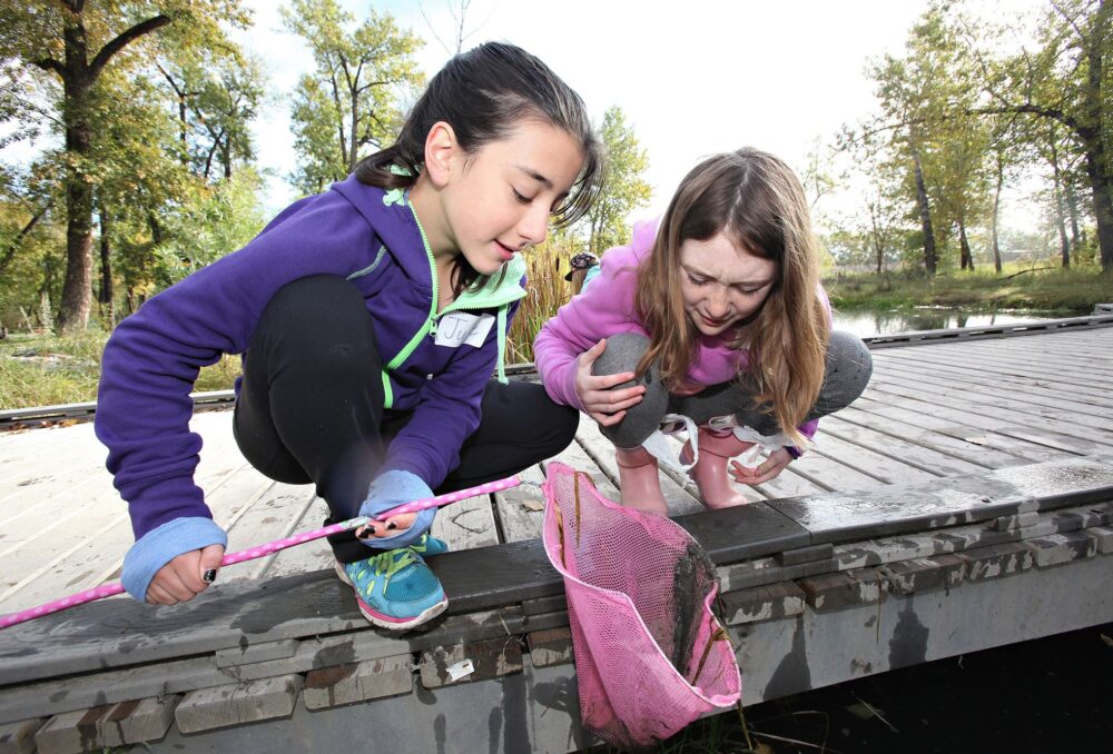 Kids critter dipping at a local wetland. 
