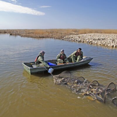 Conserving Fish Habitats