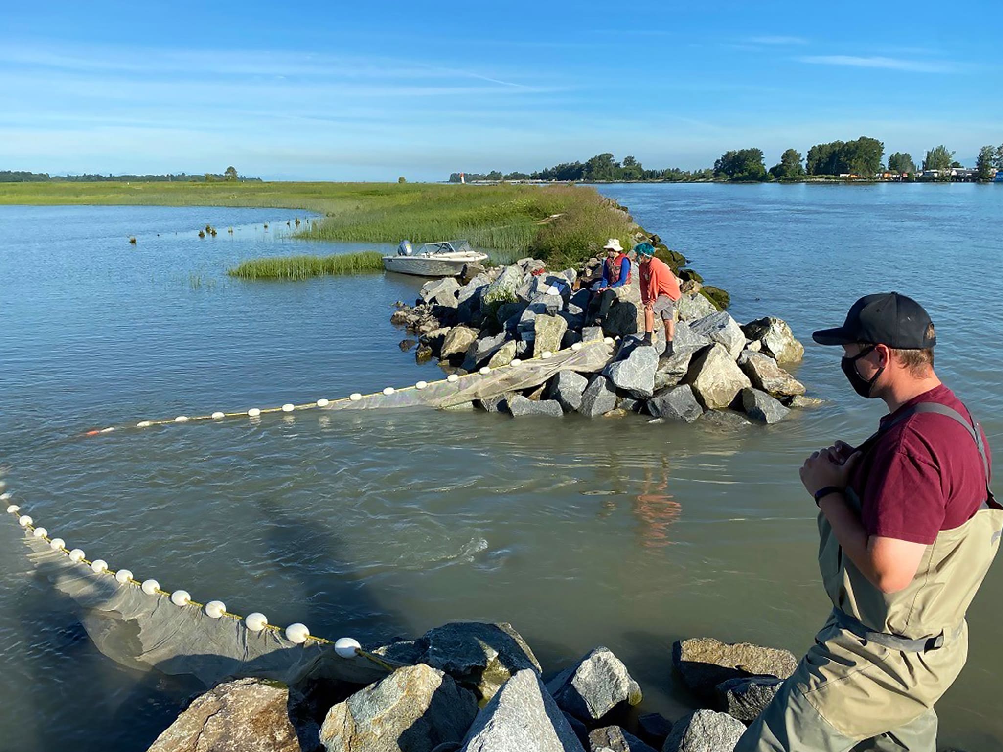 Three people studying salmon at Woodward Breach in the Fraser River delta.