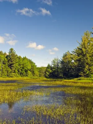 Ontario