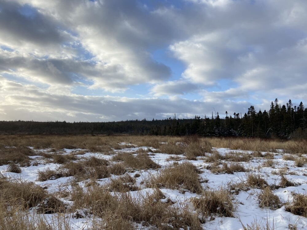 Conserving wild spaces in Newfoundland and Labrador