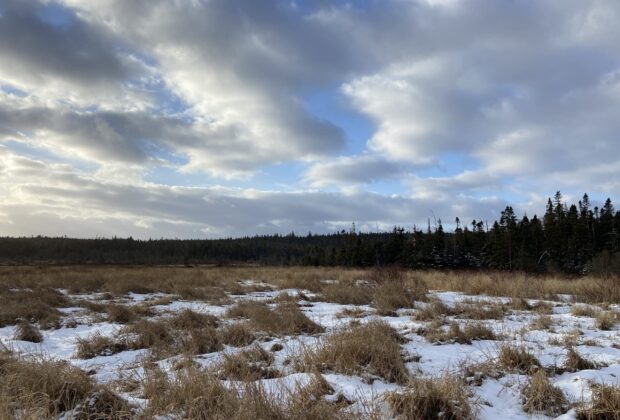 Conserving wild spaces in Newfoundland and Labrador
