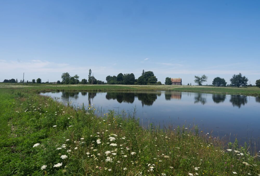 Completed wetland restoration at Greener Pastures Eco Farm.