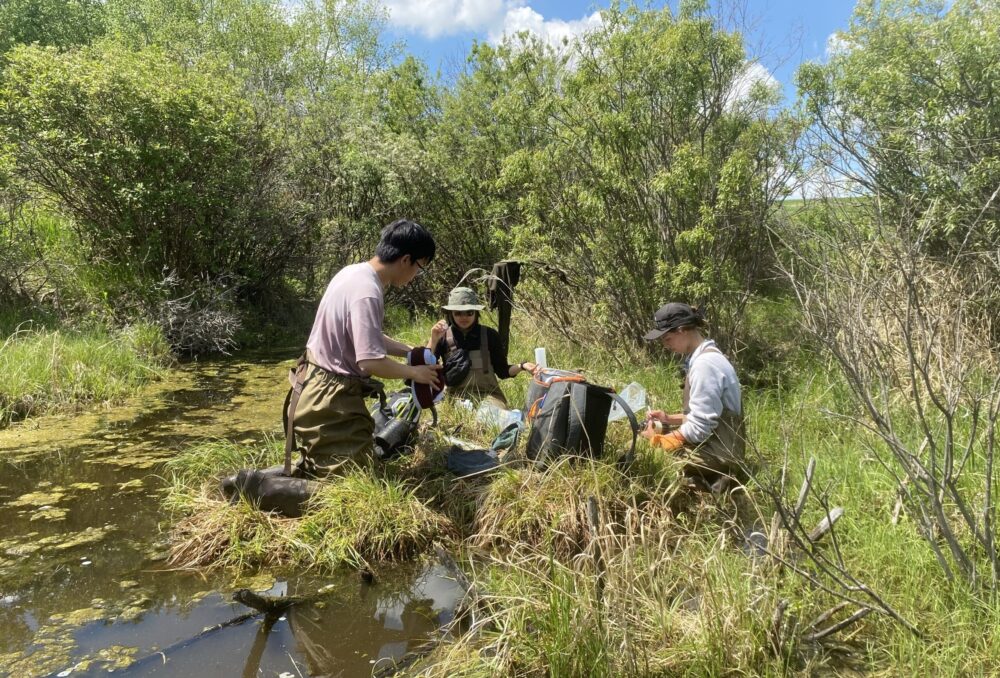 Water Sampling
