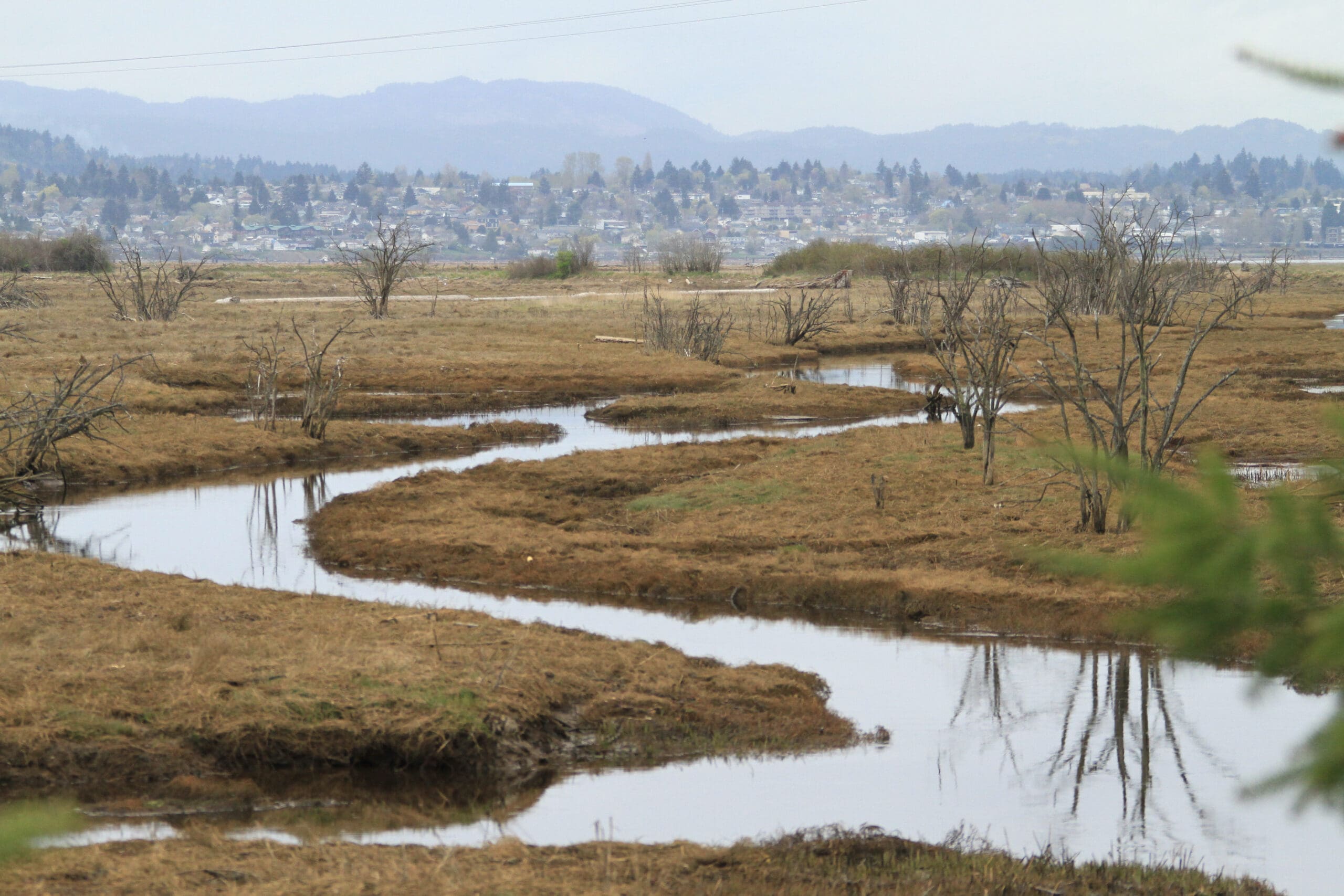 Creek meandering through the landscape