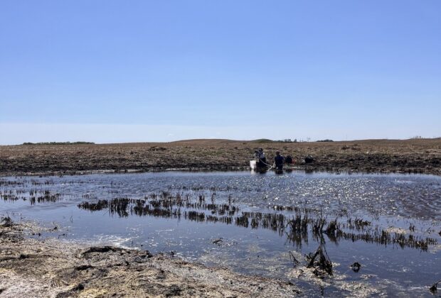 From the Field: Summer Positions with DUC’s Conservation Teams