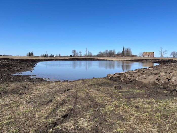 Wetland in progress.