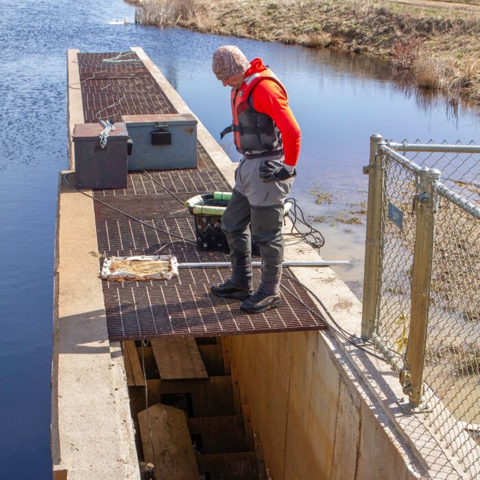 DUC aquatic biologist Aaron Spares tracks fish passage at DUC’s Missaquash Marsh fishway on the New Brunswick/Nova Scotia border. 