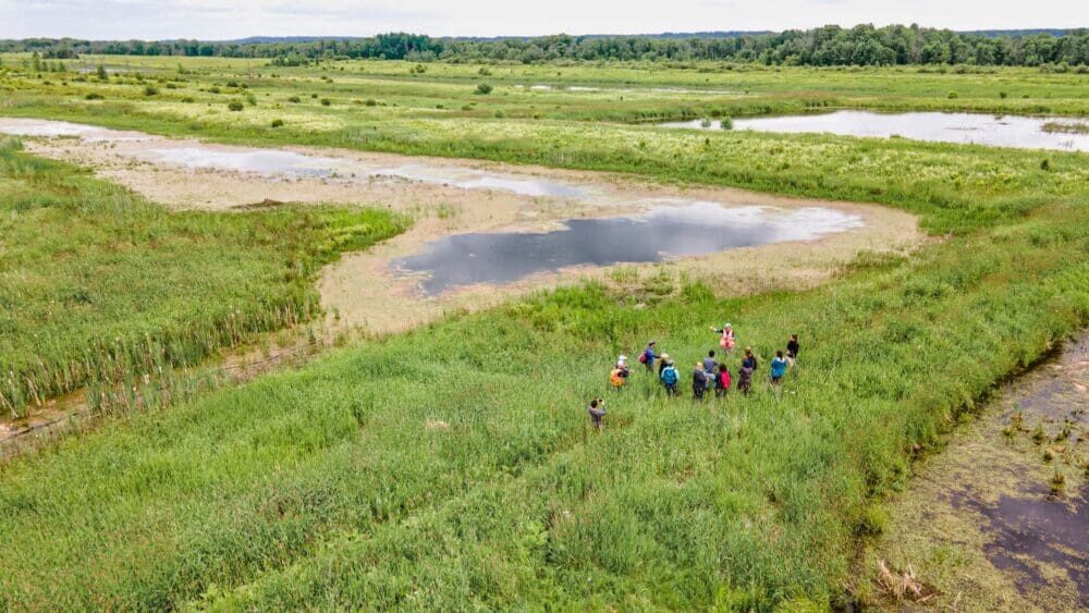 15 Years of Detailed Wetland Mapping and Partnership Building