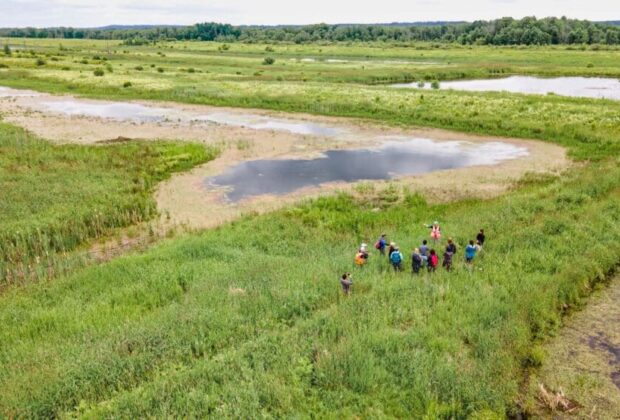 15 Years of Detailed Wetland Mapping and Partnership Building