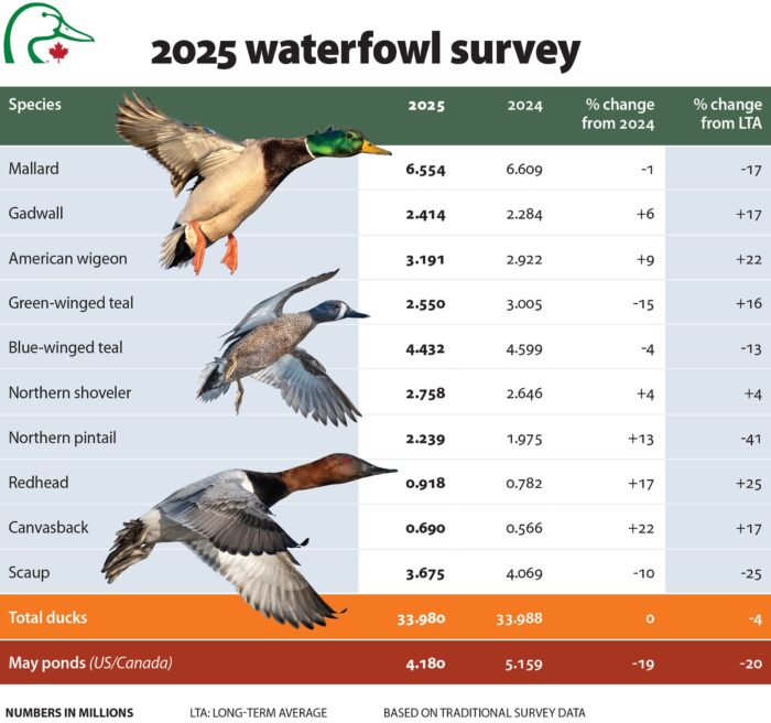 2025 waterfowl survey results