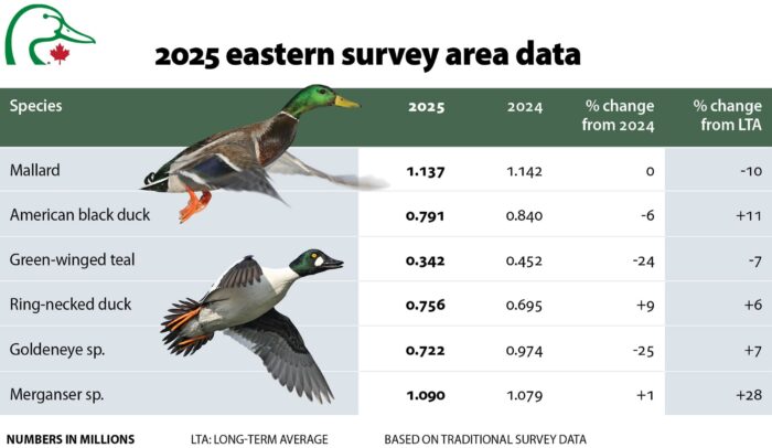 Table summarizing 2024 Eastern Survey Area Data 