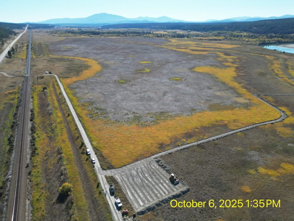 Bummers Flats Floodplain to be Reconnected to Kootenay River
