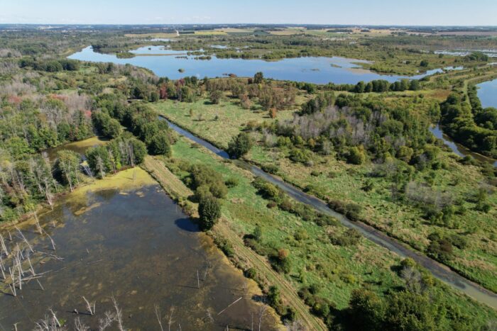 Aerial of Hullett Marsh