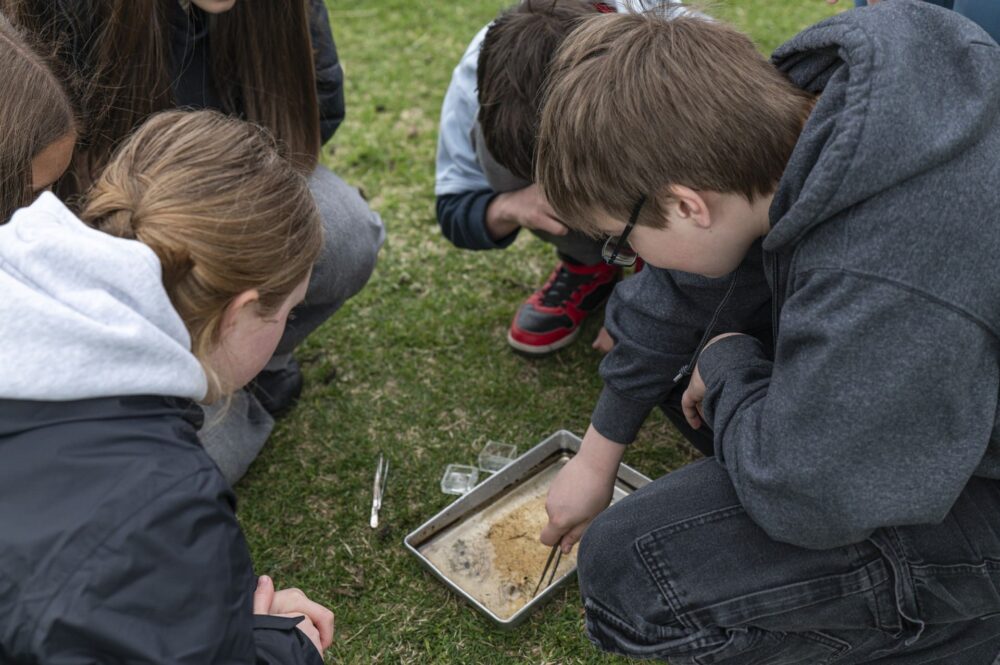 DUC brings wetland education to urban youth in Montreal