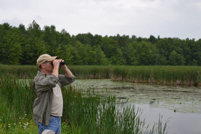 Birding at Tiny Marsh