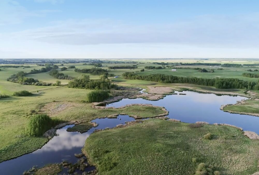 Prairie wetlands