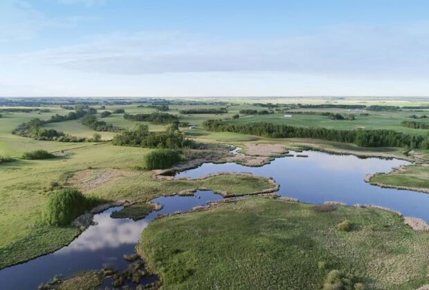 New prairie biodiversity tool
