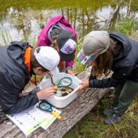 Rooted in nature, growing together