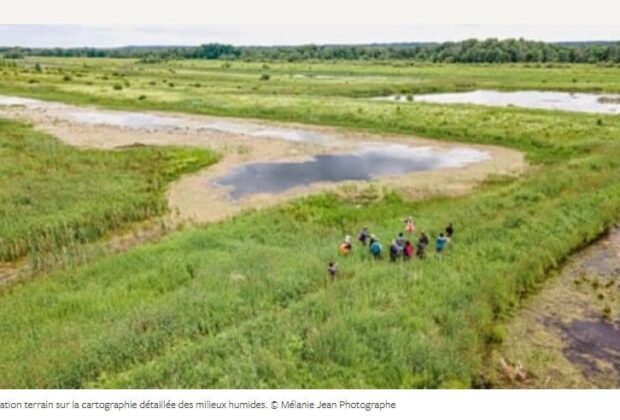 15 Years of Detailed Wetland Mapping and Partnership Building