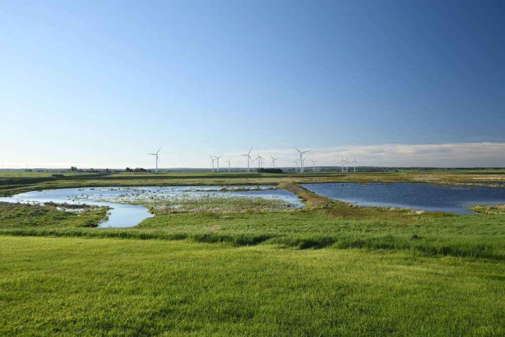 Wetlands: A Missing Link in Atlantic Canada’s Climate Change Safeguarding Strategy