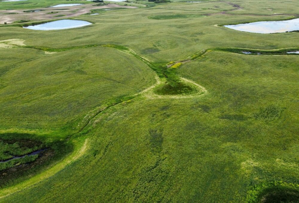 Aerial view of Willemse shows drainage ditches connecting some of the project’s many wetlands.