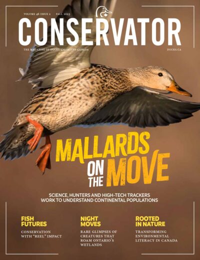 Conservator Magazine