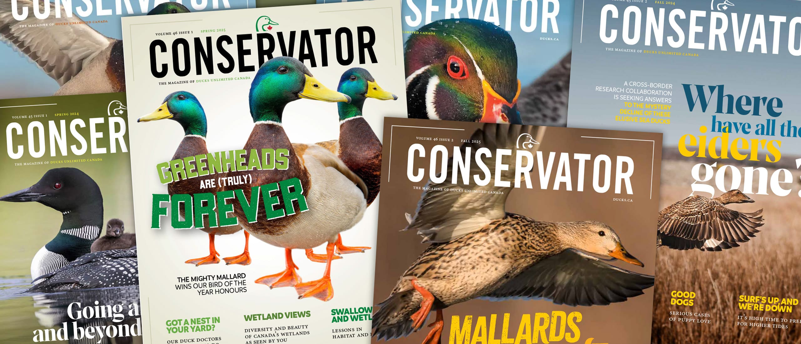 Conservator Magazine — Ducks Unlimited Canada