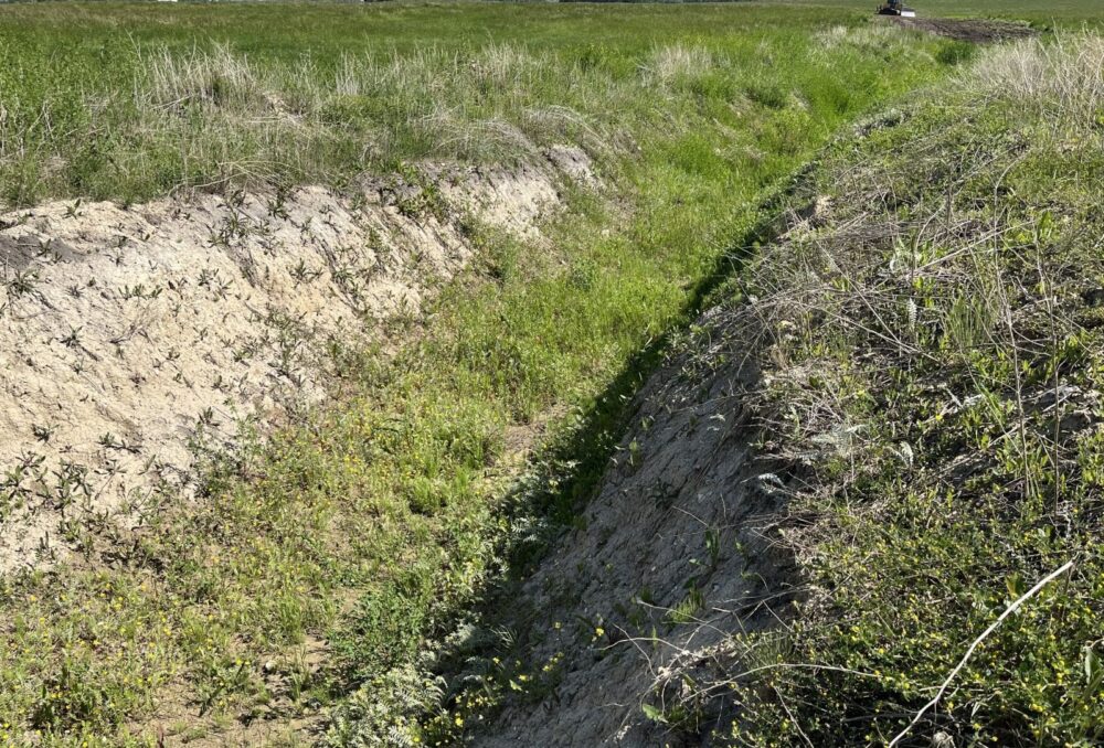 Even with cavernous drainage ditches like this one, Willemse Project was never well-suited to annual crop production.