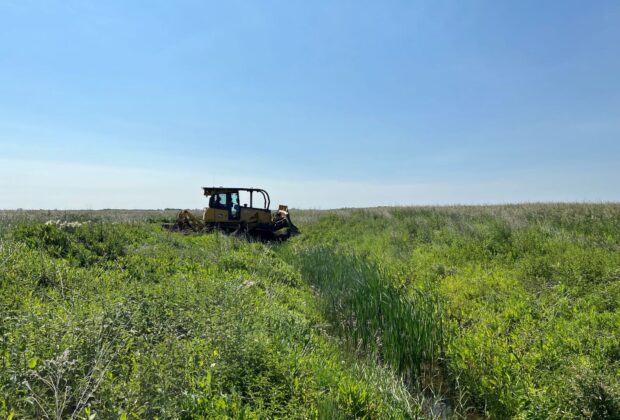 Unlocking hidden potential through conservation