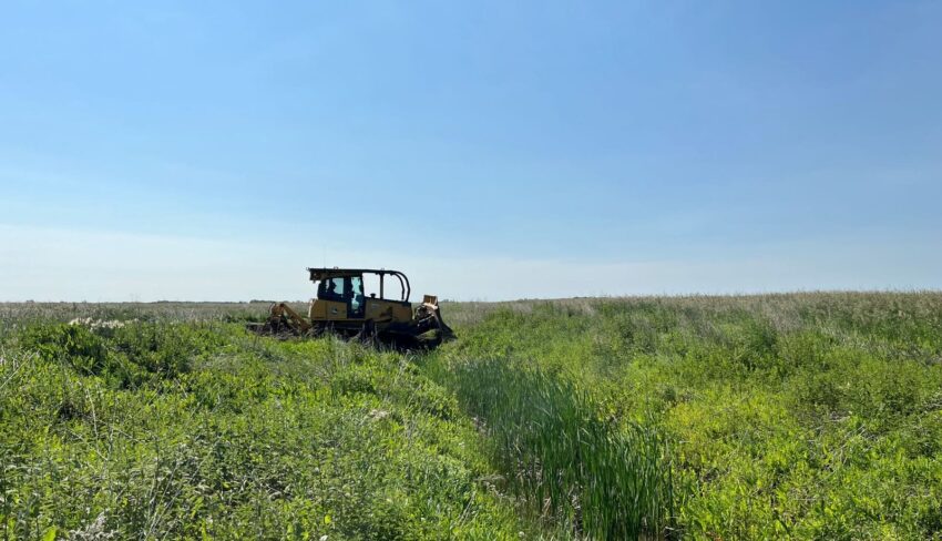 Unlocking hidden potential through conservation