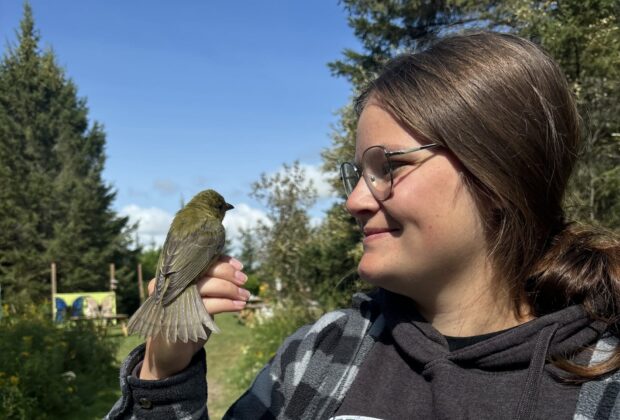 Katelyn Warner wins Wetland Centre of Excellence student scholarship