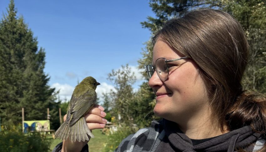 Katelyn Warner wins Wetland Centre of Excellence student scholarship