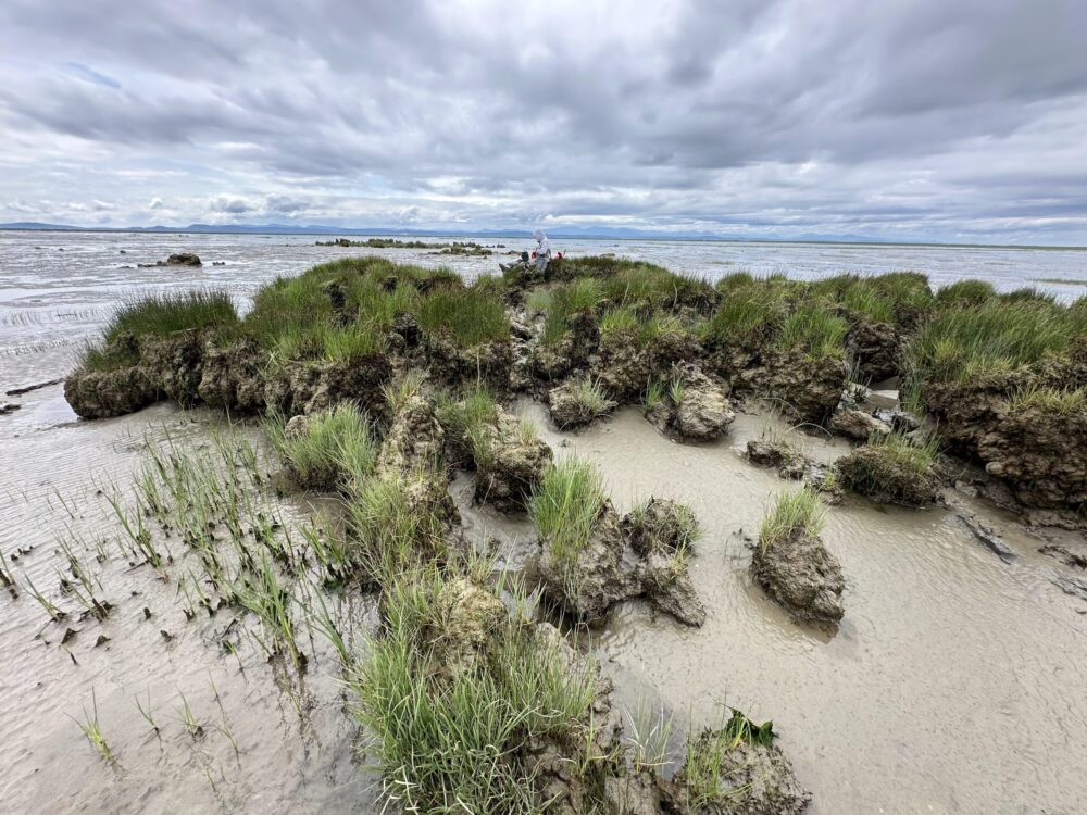 New Initiative Connects Coastal Ecosystems with the Resources They Need