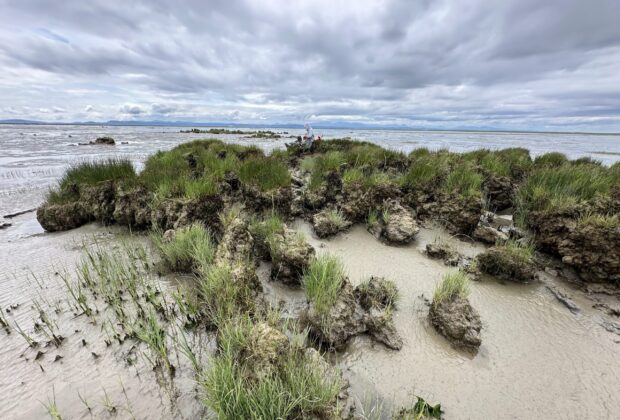 New Initiative Connects Coastal Ecosystems with the Resources They Need