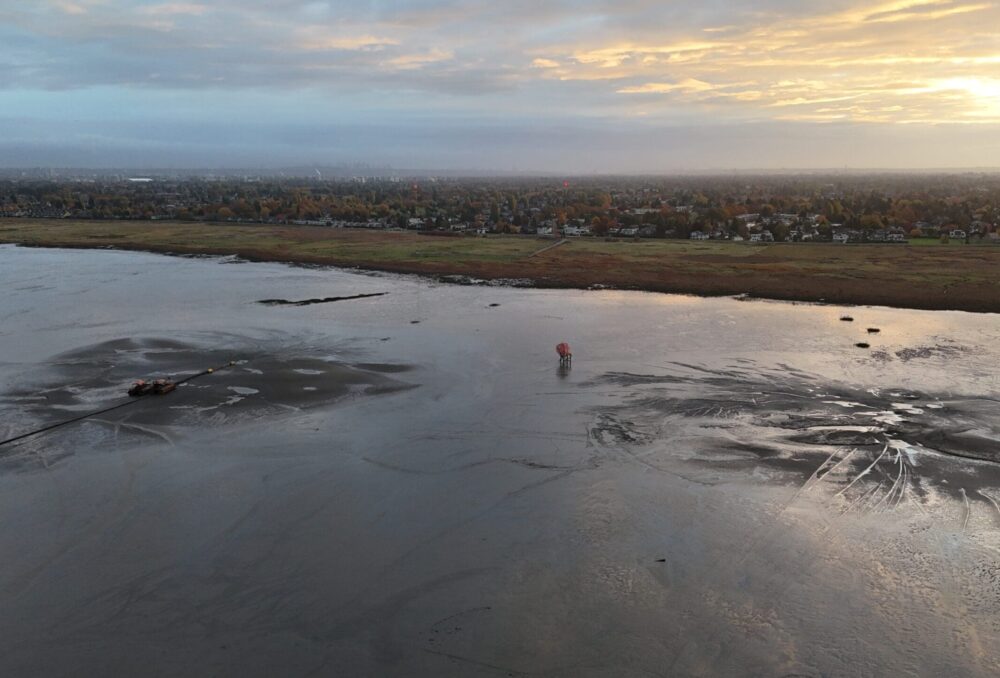 Two mounds are visible in the foreground where reclaimed sediment from local dredging was distributed along the Richmond foreshore west of the Steveston Dike. 
