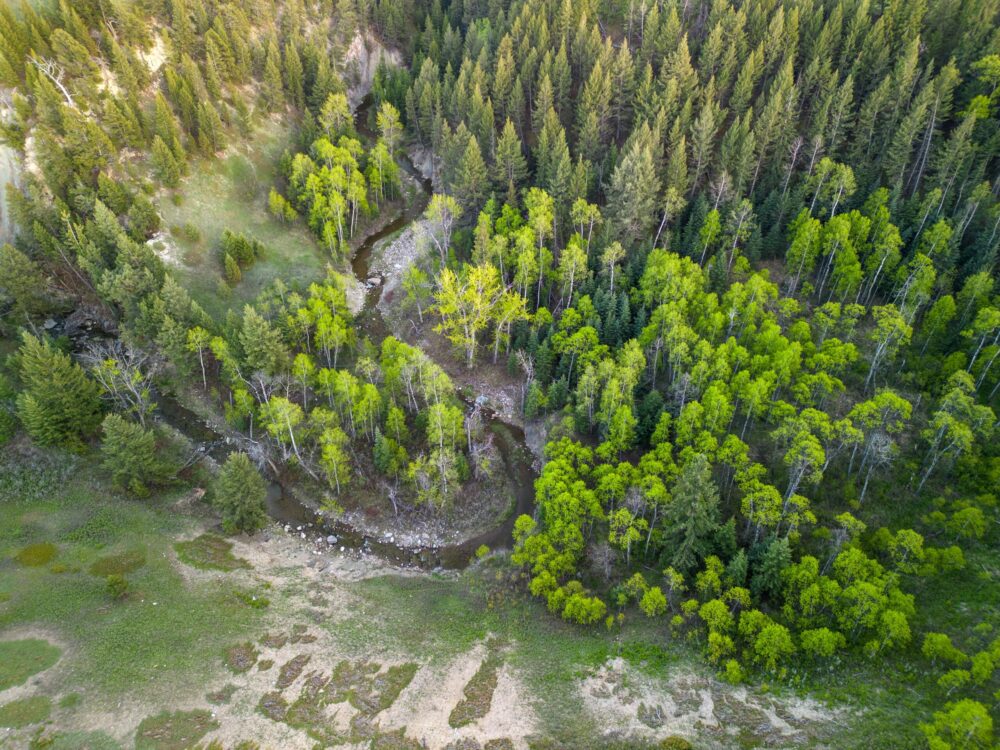 Canada’s nature funding model outperforms world trend