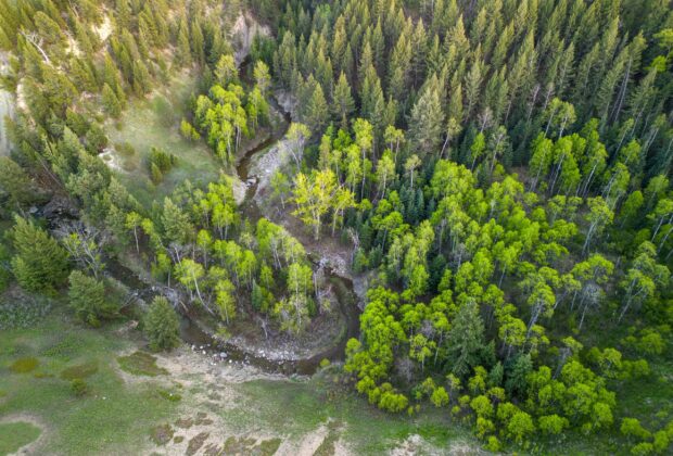 Canada’s nature funding model outperforms world trend