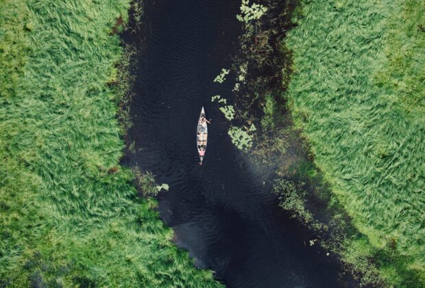 Ducks Unlimited Canada presents the North American film premiere of Mission to Marsh in honour of World Wetlands Day